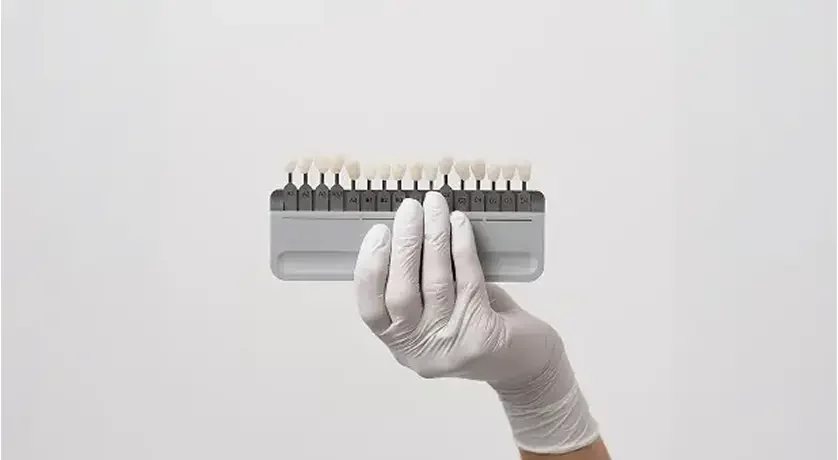 Dental Veneers